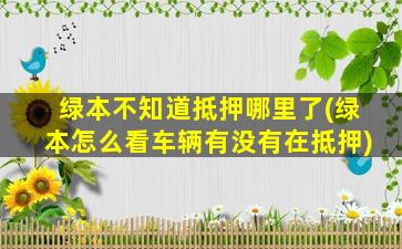 绿本不知道抵押哪里了(绿本怎么看车辆有没有在抵押)