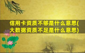 信用卡资质不够是什么意思(大数据资质不足是什么意思)