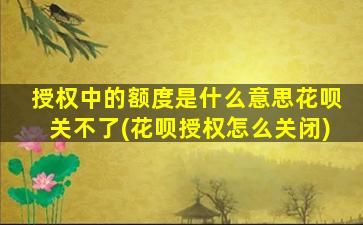 授权中的额度是什么意思花呗关不了(花呗授权怎么关闭)