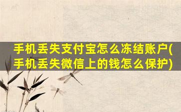 手机丢失支付宝怎么冻结账户(手机丢失微信上的钱怎么保护)