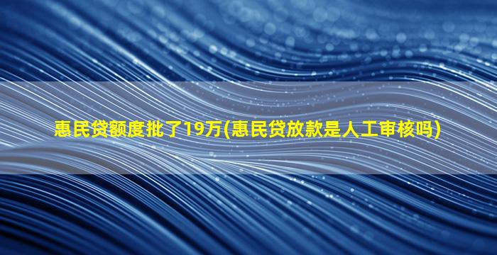 惠民贷额度批了19万(惠民贷放款是人工审核吗)