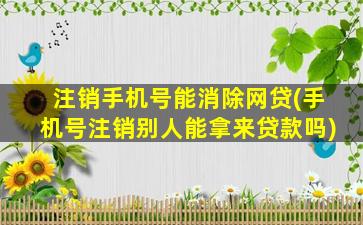 注销手机号能消除网贷(手机号注销别人能拿来贷款吗)