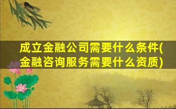 成立金融公司需要什么条件(金融咨询服务需要什么资质)