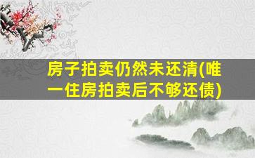 房子拍卖仍然未还清(唯一住房拍卖后不够还债)