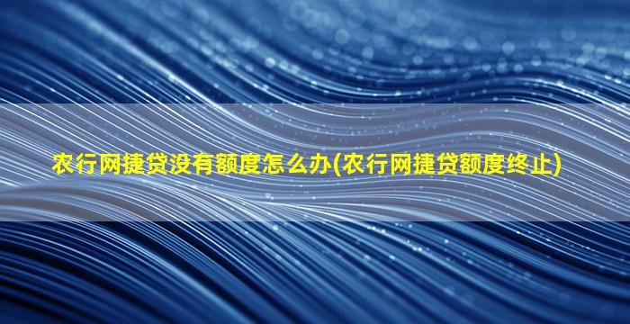 农行网捷贷没有额度怎么办(农行网捷贷额度终止)