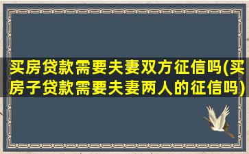 买房贷款需要夫妻双方征信吗(买房子贷款需要夫妻两人的征信吗)