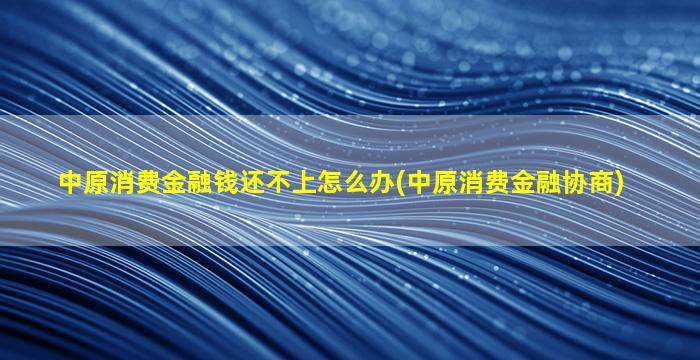 中原消费金融钱还不上怎么办(中原消费金融协商)