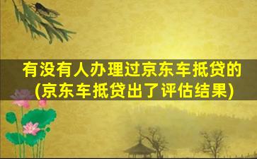有没有人办理过京东车抵贷的(京东车抵贷出了评估结果)