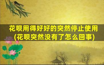 花呗用得好好的突然停止使用(花呗突然没有了怎么回事)