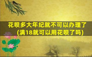 花呗多大年纪就不可以办理了(满18就可以用花呗了吗)