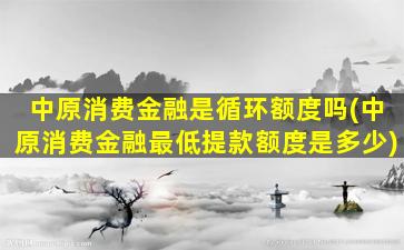 中原消费金融是循环额度吗(中原消费金融最低提款额度是多少)