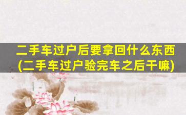 二手车过户后要拿回什么东西(二手车过户验完车之后干嘛)