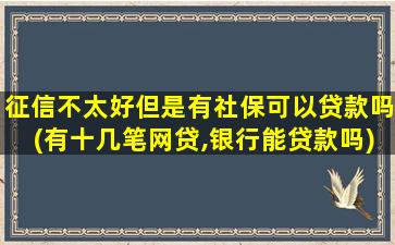 征信不太好但是有社保可以贷款吗(有十几笔网贷,银行能贷款吗)