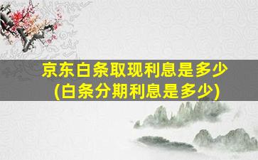 京东白条取现利息是多少(白条分期利息是多少)