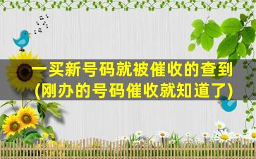 一买新号码就被催收的查到(刚办的号码催收就知道了)