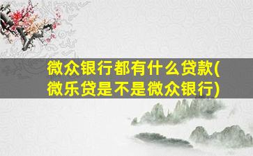 微众银行都有什么贷款(微乐贷是不是微众银行)