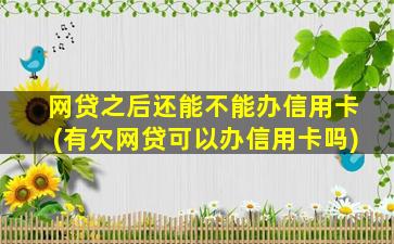 网贷之后还能不能办信用卡(有欠网贷可以办信用卡吗)