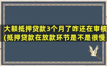 大额抵押贷款3个月了咋还在审核(抵押贷款在放款环节是不是很慢)