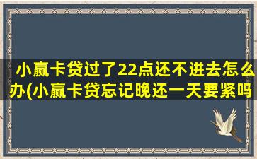 小赢卡贷过了22点还不进去怎么办(小赢卡贷忘记晚还一天要紧吗)