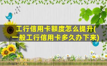 工行信用卡额度怎么提升(一般工行信用卡多久办下来)