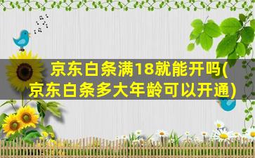 京东白条满18就能开吗(京东白条多大年龄可以开通)