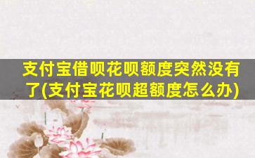 支付宝借呗花呗额度突然没有了(支付宝花呗超额度怎么办)