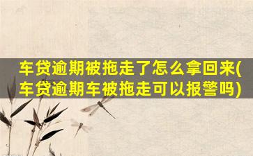 车贷逾期被拖走了怎么拿回来(车贷逾期车被拖走可以报警吗)