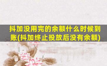 抖加没用完的余额什么时候到账(抖加终止投放后没有余额)