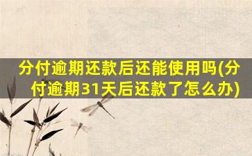 分付逾期还款后还能使用吗(分付逾期31天后还款了怎么办)