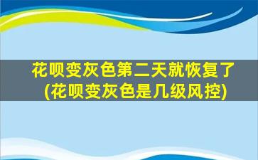 花呗变灰色第二天就恢复了(花呗变灰色是几级风控)