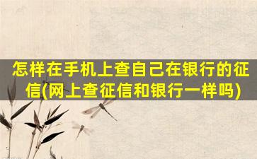怎样在手机上查自己在银行的征信(网上查征信和银行一样吗)