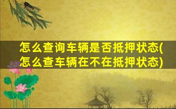 怎么查询车辆是否抵押状态(怎么查车辆在不在抵押状态)