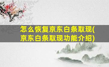 怎么恢复京东白条取现(京东白条取现功能介绍)