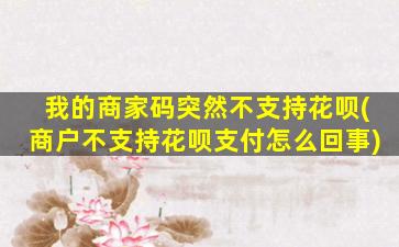 我的商家码突然不支持花呗(商户不支持花呗支付怎么回事)