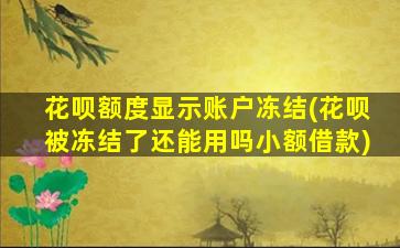 花呗额度显示账户冻结(花呗被冻结了还能用吗小额借款)