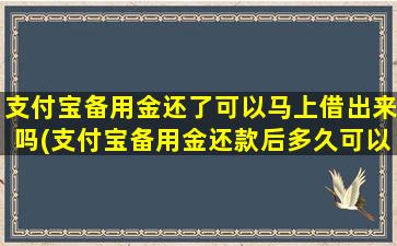 支付宝备用金还了可以马上借出来吗(支付宝备用金还款后多久可以再借)