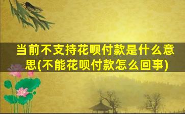 当前不支持花呗付款是什么意思(不能花呗付款怎么回事)