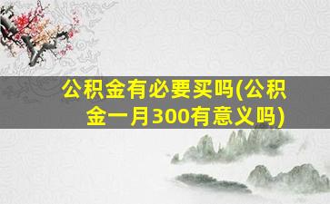 公积金有必要买吗(公积金一月300有意义吗)