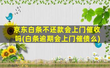 京东白条不还款会上门催收吗(白条逾期会上门催债么)