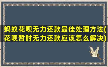 蚂蚁花呗无力还款最佳处理方法(花呗暂时无力还款应该怎么解决)