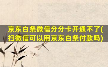 京东白条微信分分卡开通不了(扫微信可以用京东白条付款吗)