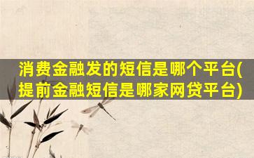 消费金融发的短信是哪个平台(提前金融短信是哪家网贷平台)