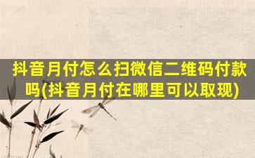 抖音月付怎么扫微信二维码付款吗(抖音月付在哪里可以取现)