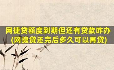 网捷贷额度到期但还有贷款咋办(网捷贷还完后多久可以再贷)