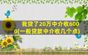 我贷了20万中介收6000(一般贷款中介收几个点)