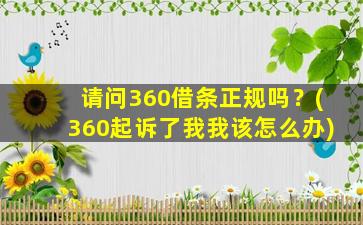 请问360借条正规吗？(360起诉了我我该怎么办)