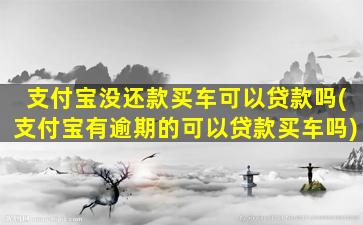 支付宝没还款买车可以贷款吗(支付宝有逾期的可以贷款买车吗)