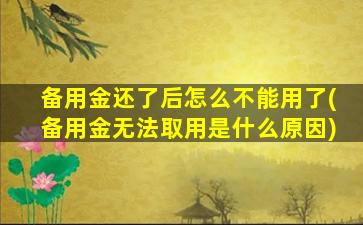 备用金还了后怎么不能用了(备用金无法取用是什么原因)