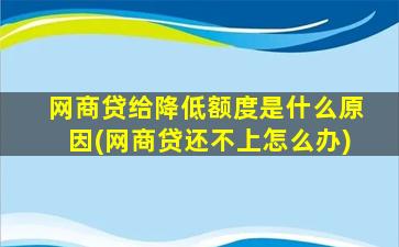 网商贷给降低额度是什么原因(网商贷还不上怎么办)