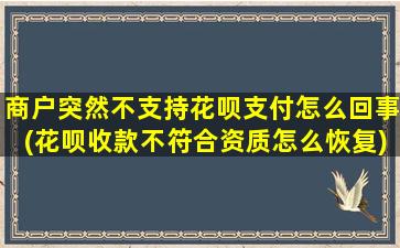 商户突然不支持花呗支付怎么回事(花呗收款不符合资质怎么恢复)